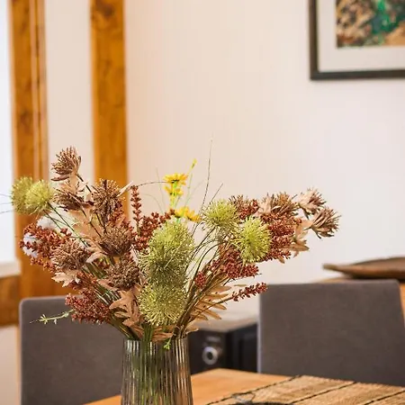 Apartament Trio - Kollar *