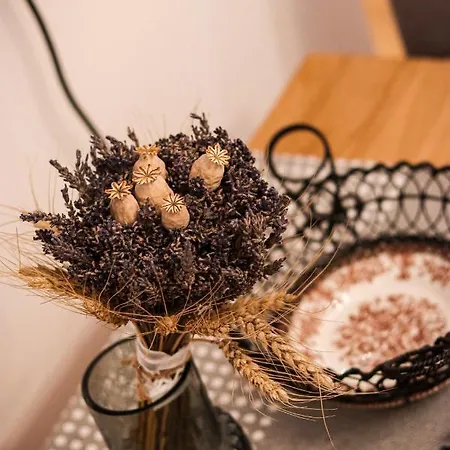 Apartament Trio - Kollar Wysokie Tatry